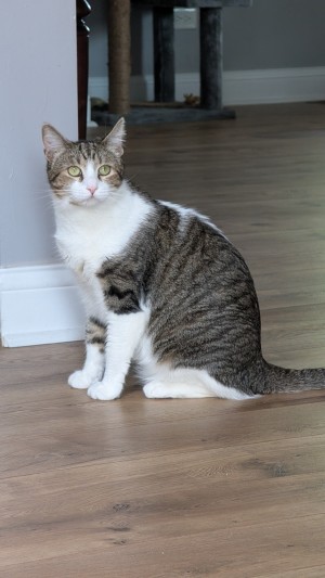 Photo of Kenai
