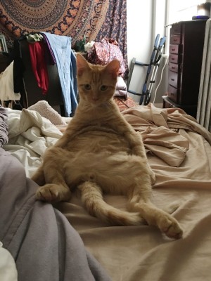 Photo of Louie