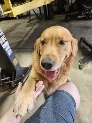 Photo of Cooper