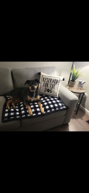 Photo of Mabry