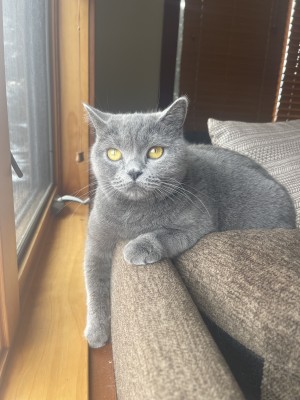 Photo of Vivi