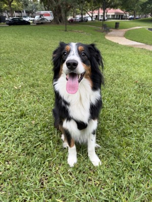 Photo of Bingo