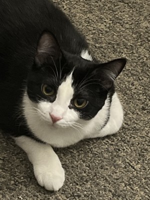 Photo of Mimi