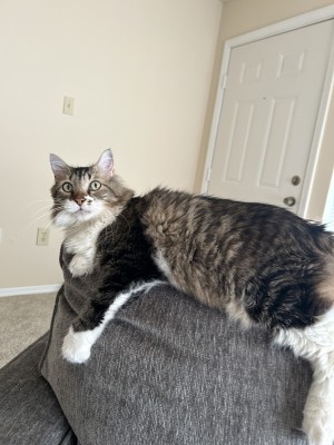 Photo of Chexx