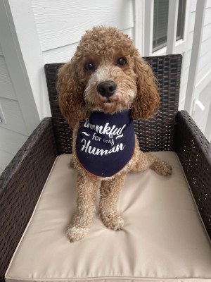 Photo of Jaxson