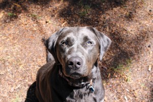 Photo of Klaus