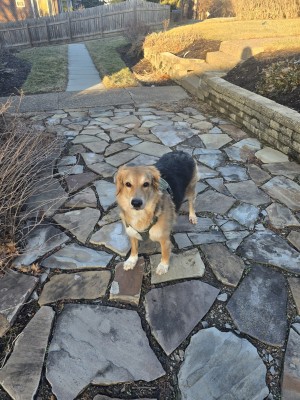Photo of Mocha