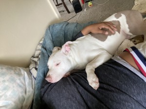 Photo of Zeke
