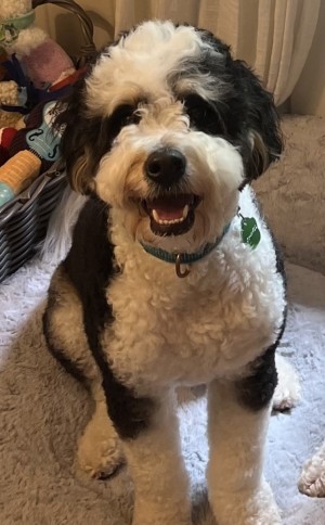 Photo of Truman