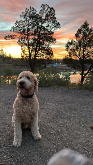 Photo of Ace