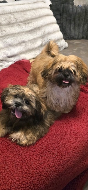 Photo of Espresso And Mocha