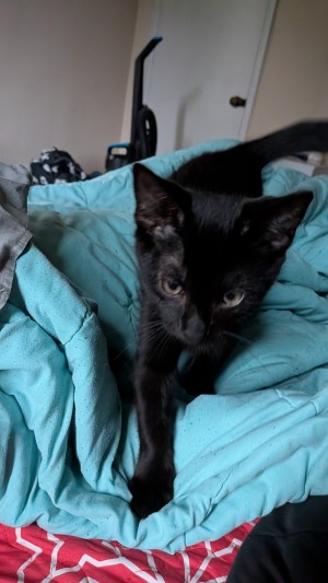 Photo of Gunter