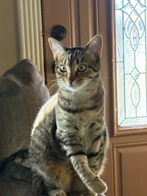 Photo of Annie