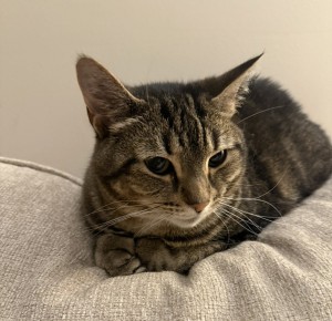 Photo of Mimi