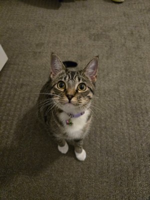 Photo of Cleo