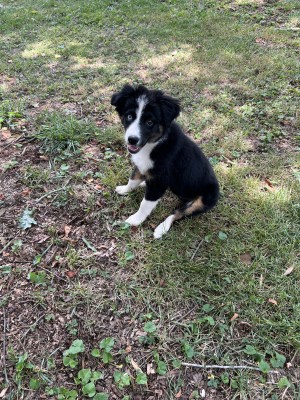 Photo of Izzy