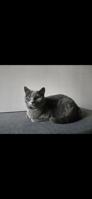 Photo of Princess