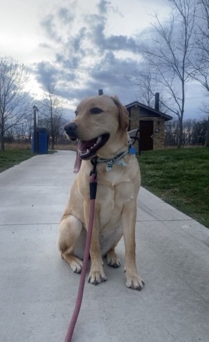 Photo of Marley Girl