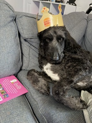 Photo of Rosie