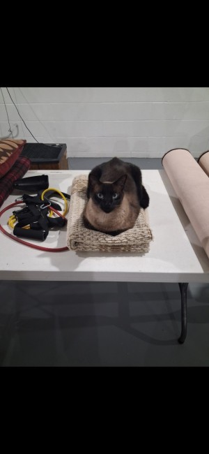 Photo of Spencer