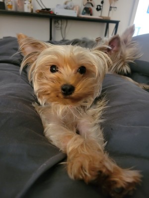 Photo of Cally
