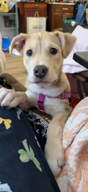 Photo of Winnie