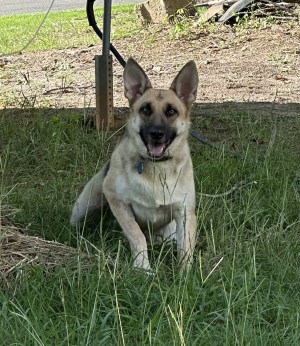 Photo of Bonnie