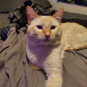 Photo of Dante
