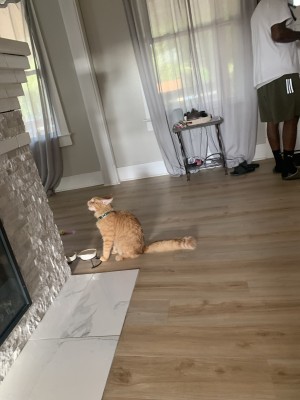 Photo of Alex
