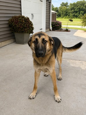 Photo of Stella Mae