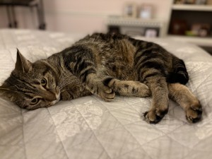 Photo of Vicky