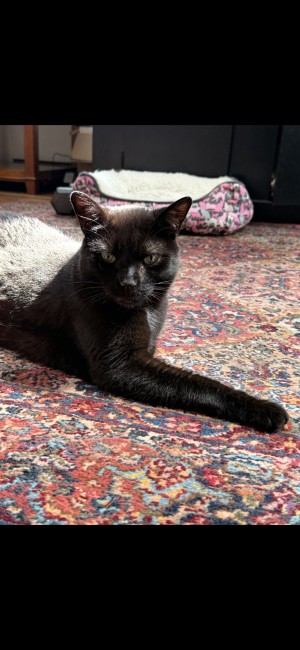 Photo of Edward