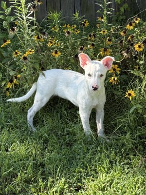 Photo of Smalls