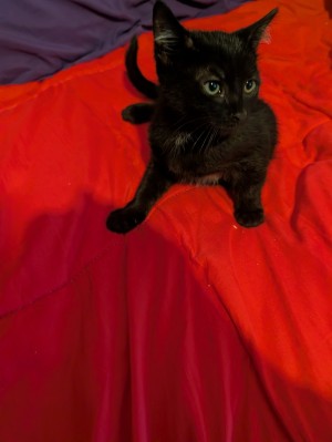 Photo of Potter