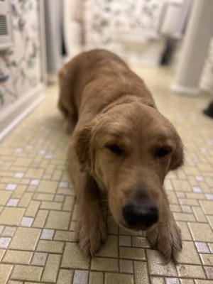 Photo of Lexi