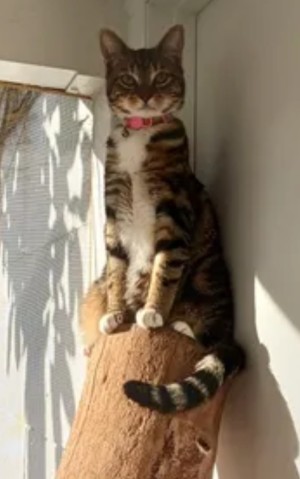 Photo of Winry