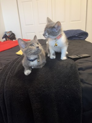Photo of Geo & Ivy