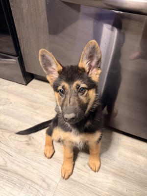 Photo of Rylee