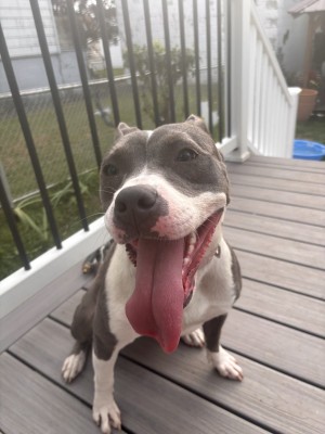 Photo of Echo