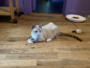 Photo of Oatmeal