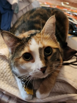 Photo of Minnie