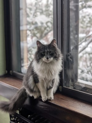 Photo of Winnie