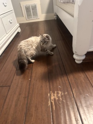 Photo of Molly