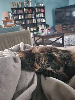 Photo of Stinker