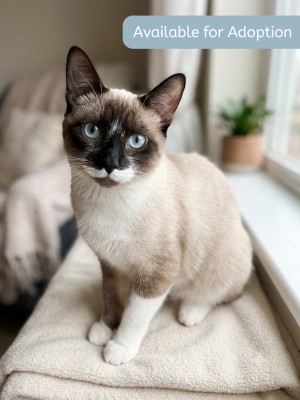 Photo of Blue