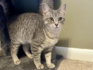 Photo of Buttercup