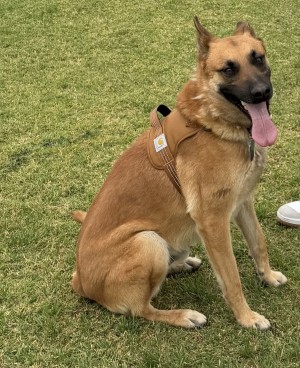 Photo of Kodak