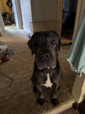 Photo of Fin