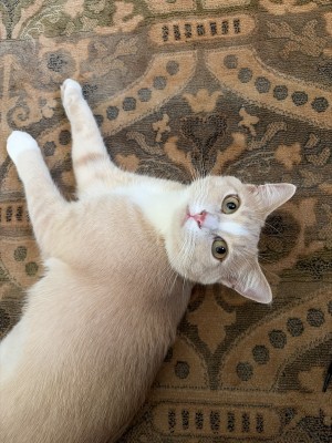 Photo of Sasha
