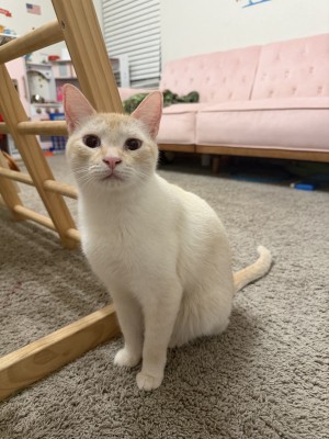 Photo of Daisy